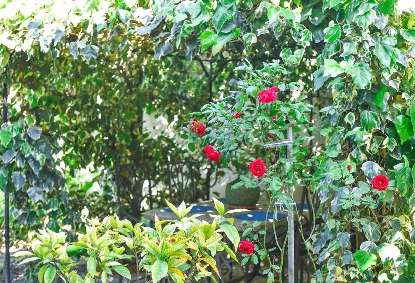 پانسیون Sofia