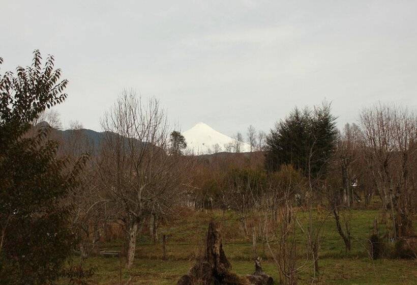 فندق صغير Hosteria Y Camping Del Bosque Pucón