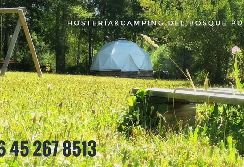 فندق صغير Hosteria Y Camping Del Bosque Pucón