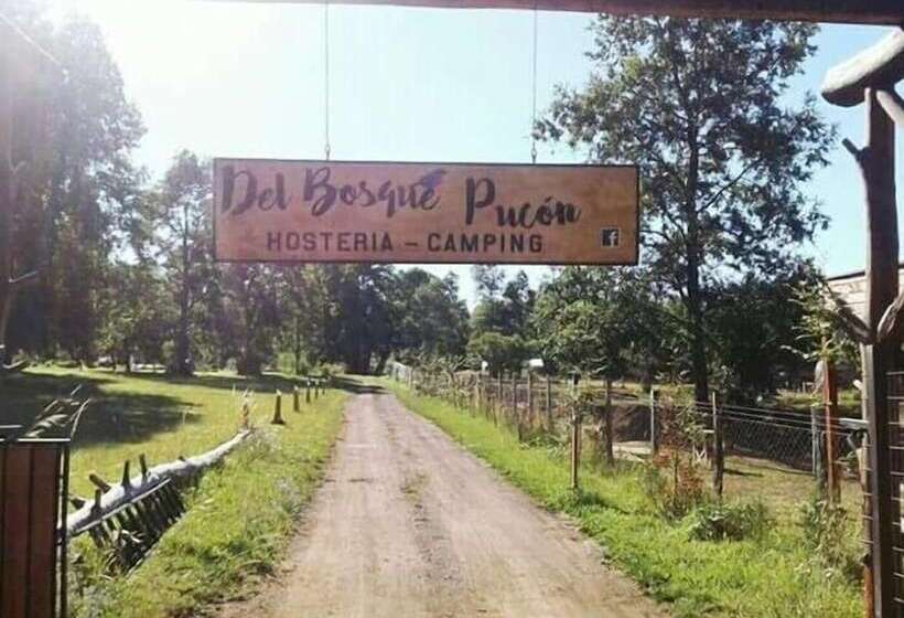 فندق صغير Hosteria Y Camping Del Bosque Pucón