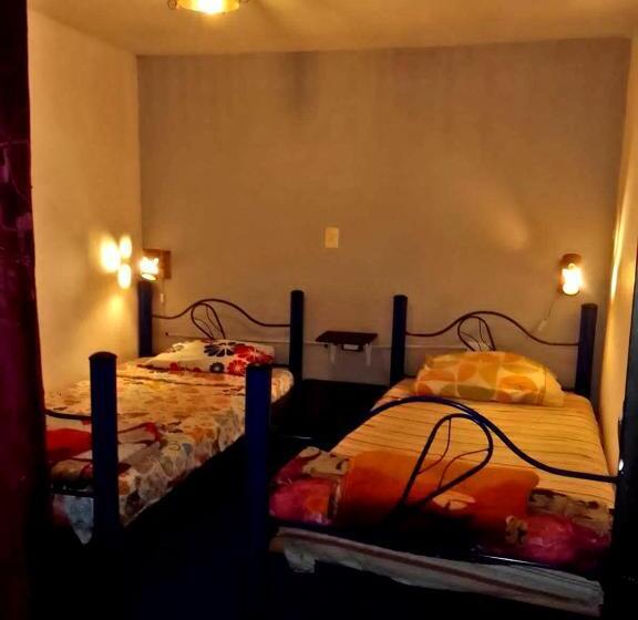 هاستل Hostal Música Y Arte