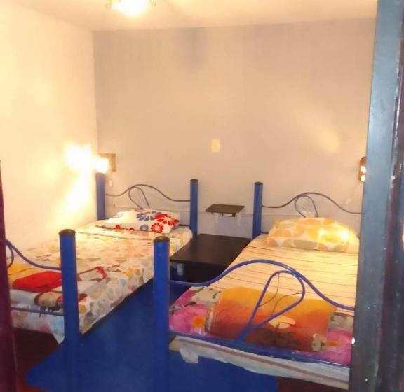 هاستل Hostal Música Y Arte