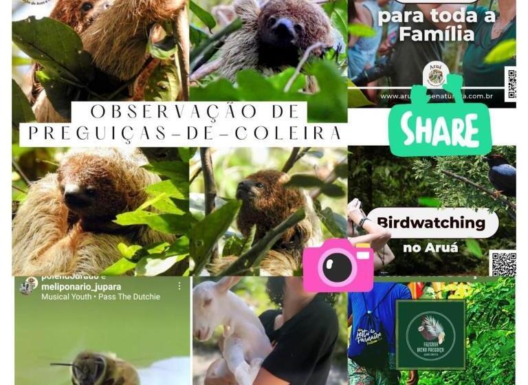 Pension Recanto Dos Pássaros Hospedaria Zen E Banho De Floresta Arua