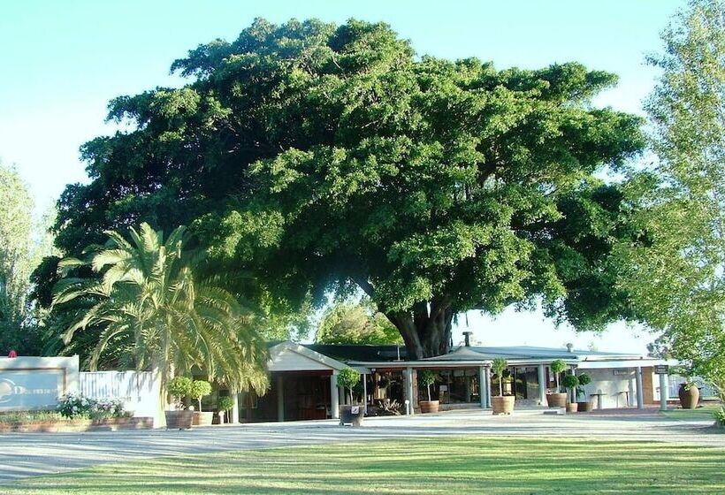 פנסיון Damas Guest Farm