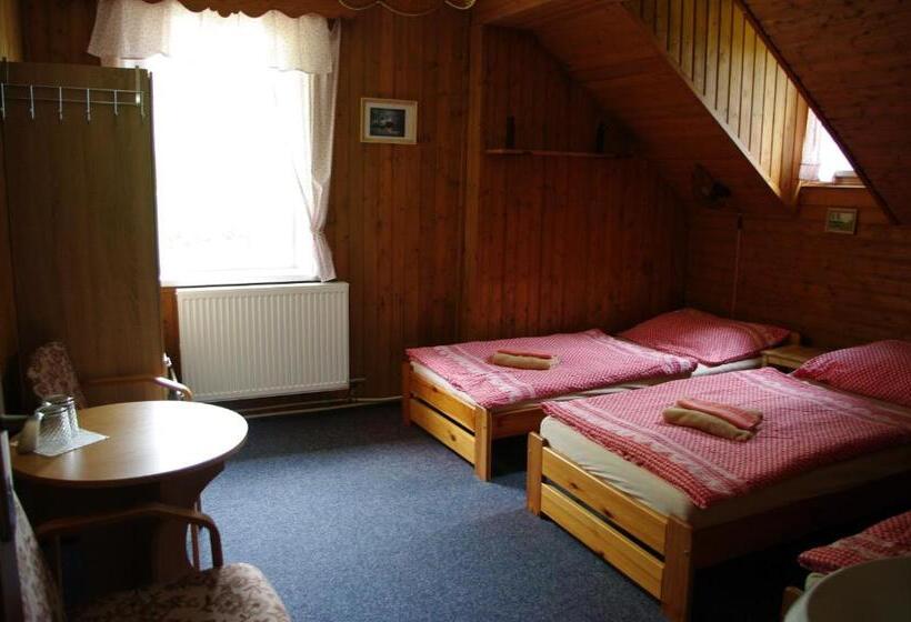 پانسیون Penzion U Lebedů