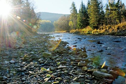 پانسیون Penzion U Lebedů