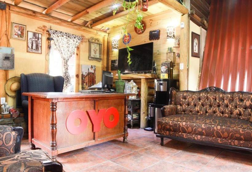 بنسيون Cabañas La Roca