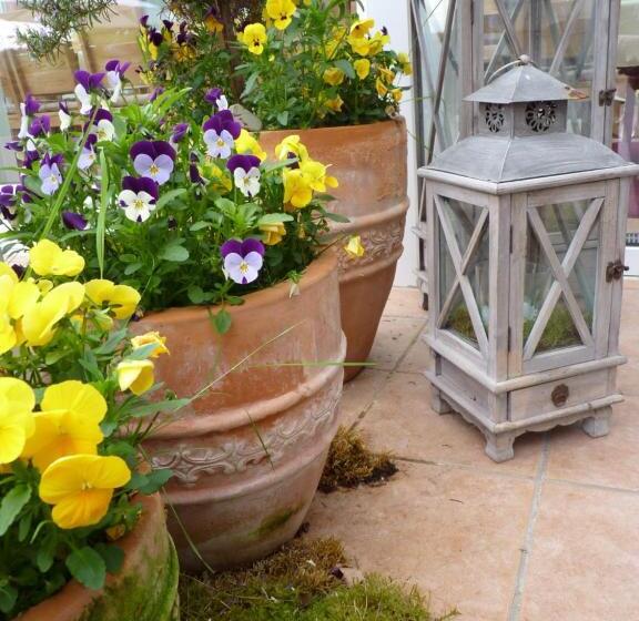 مبيت وإفطار Pension Bergterrasse