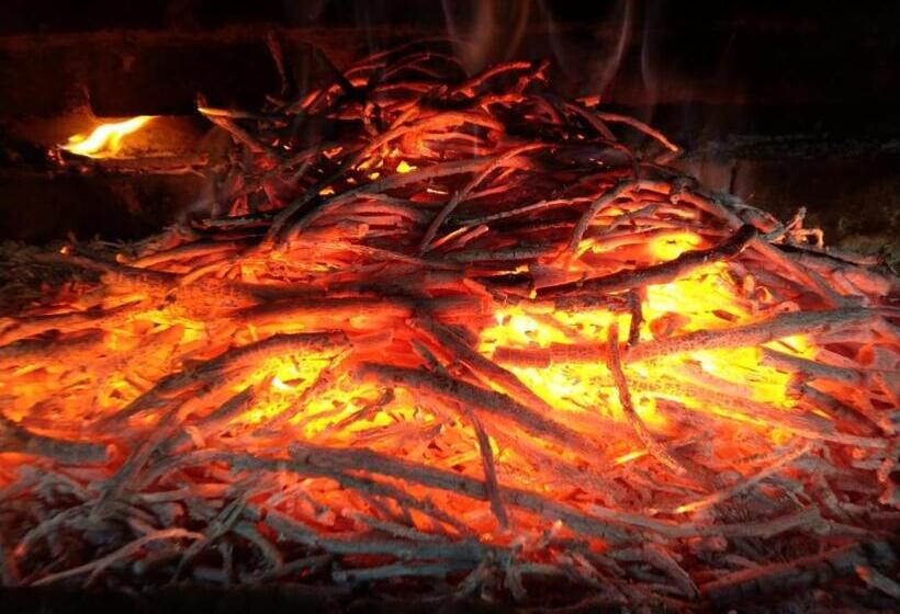 پانسیون Popock City Center