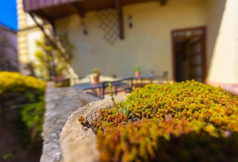 پانسیون Penzion U Hrádku