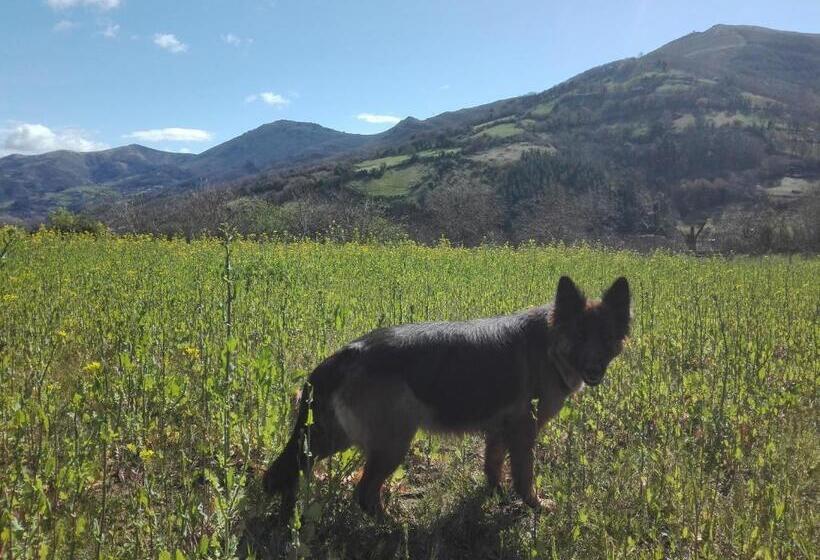 فندق Agroturismo La Casona De Belmonte