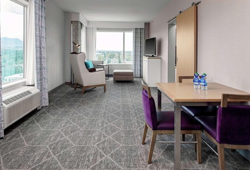 هتل Hilton Garden Inn Colorado Springs Downtown