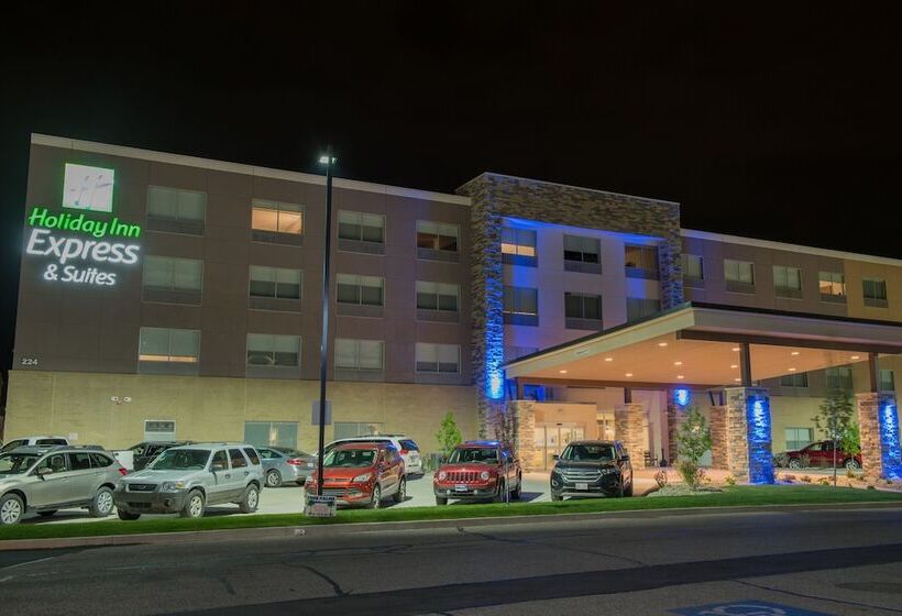 酒店 Holiday Inn Express & Suites   Orland Park Mokena, An Ihg