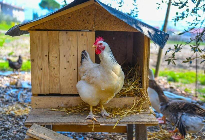 هتل Agritur Fiore D'ulivo