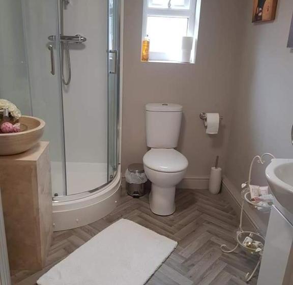 Общежитие The Swan