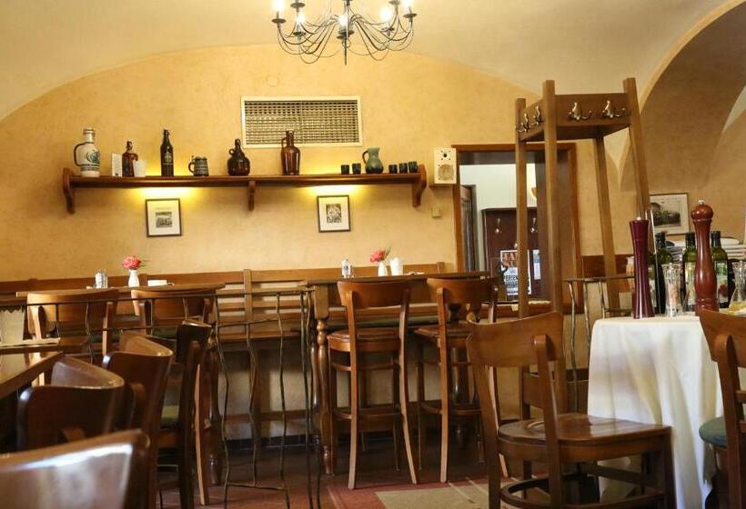 호텔 Donau Lodge