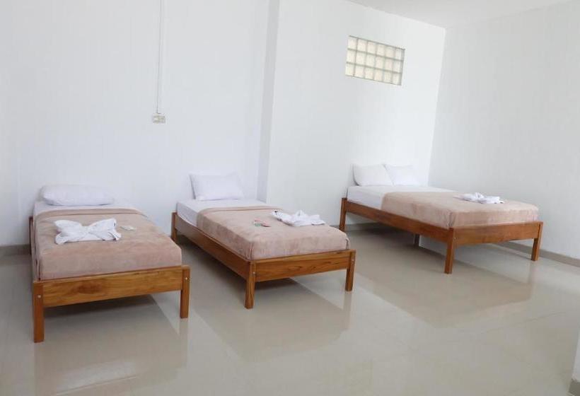 تختخواب و صبحانه Sky Bajo Hostel