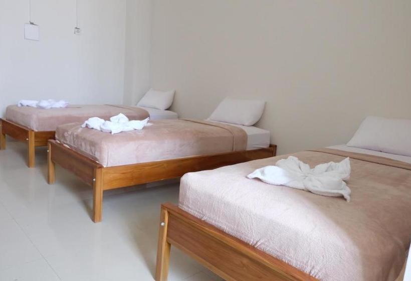 تختخواب و صبحانه Sky Bajo Hostel