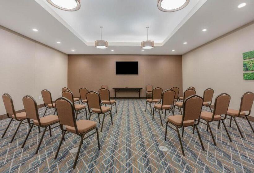 酒店 La Quinta Inn And Suites By Wyndham Houston Spring South