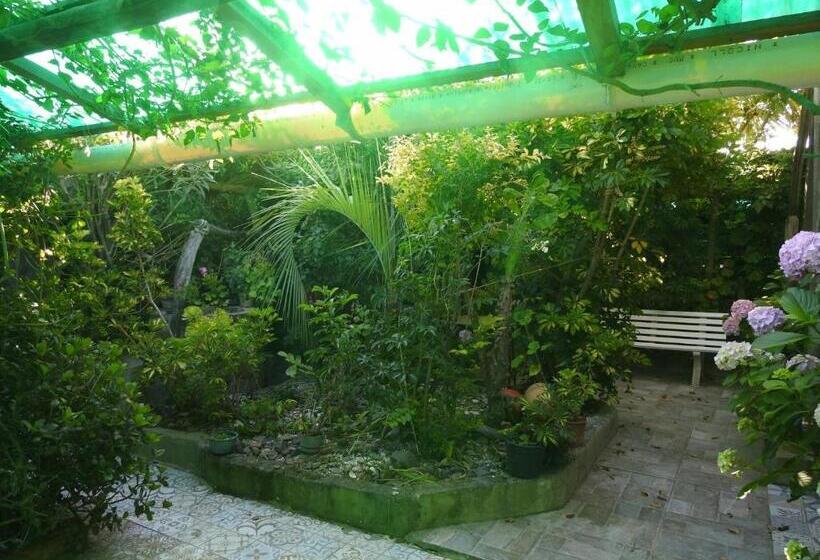 هاستل El Cuento Del Gainford