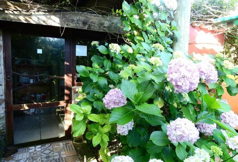 هاستل El Cuento Del Gainford