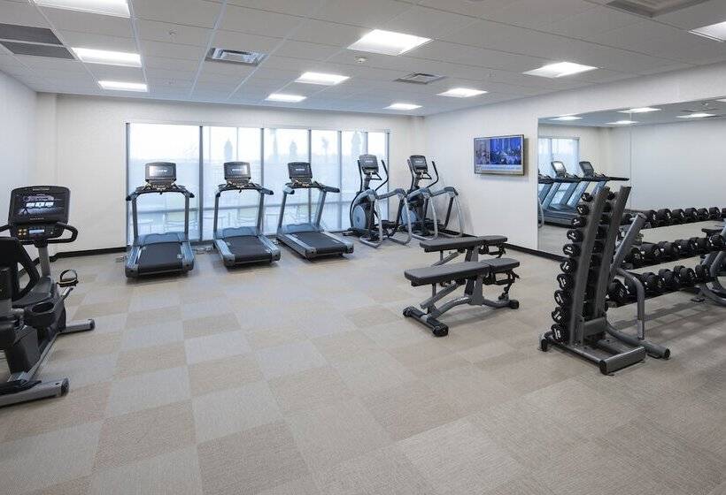 בית מלון כפרי Springhill Suites By Marriott Tampa Suncoast Parkway
