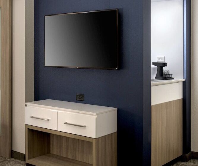 בית מלון כפרי Springhill Suites By Marriott Tampa Suncoast Parkway