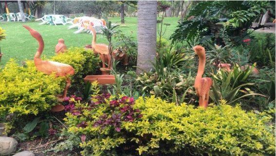 فندق Hosteria Campestre San Fermin