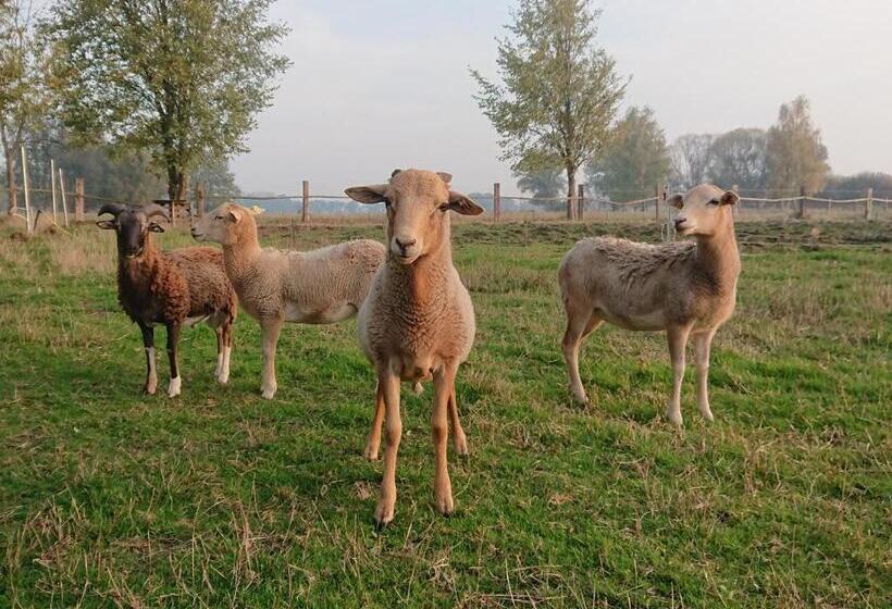 ホテル Pension Müllers Mühle