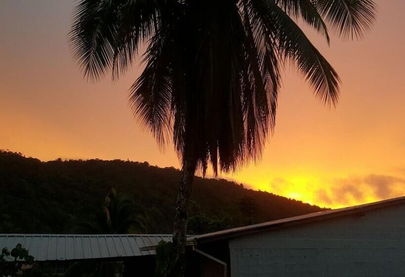 پانسیون Hostal Adrimar