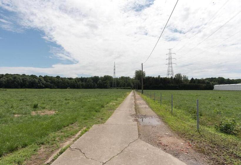 פנסיון Lovely Guesthouse Lier