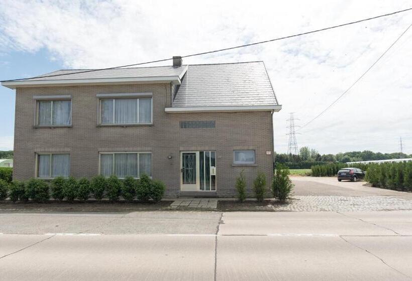 פנסיון Lovely Guesthouse Lier