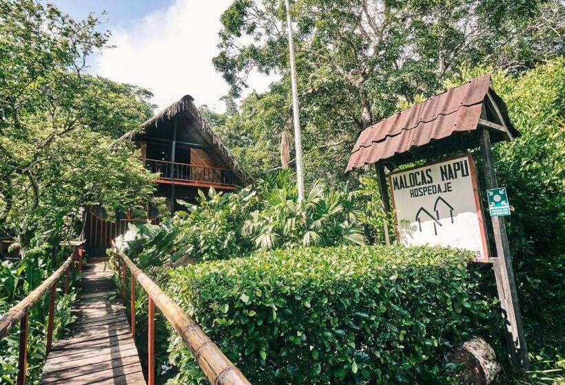 پانسیون Maloka Napü   Ecodestinos