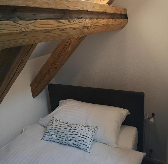 فندق صغير Landgasthof Schwanen