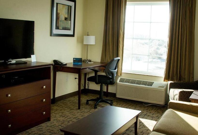 Отель Cobblestone Inn & Suites   Soda Springs
