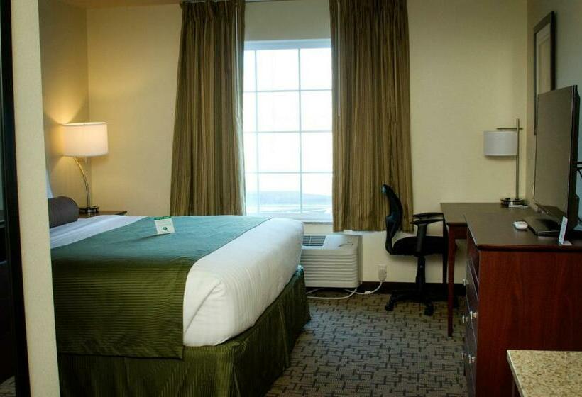 Отель Cobblestone Inn & Suites   Soda Springs
