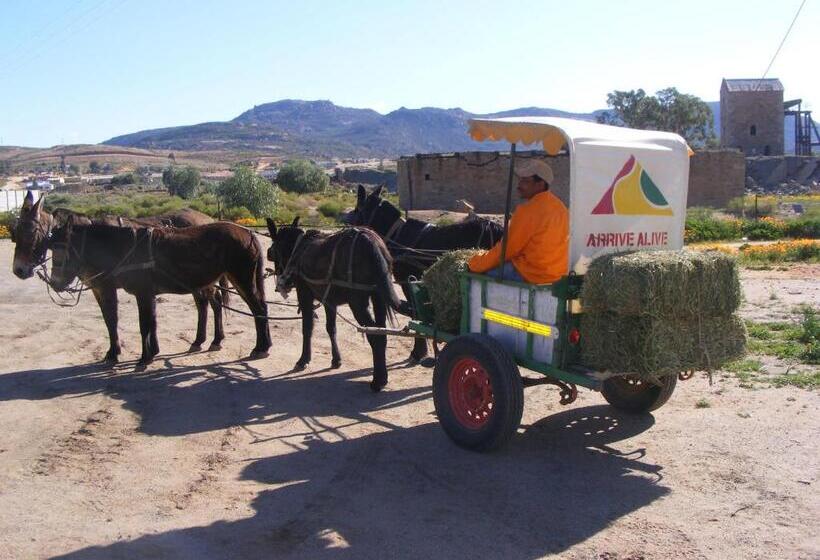 酒店 Okiep Country