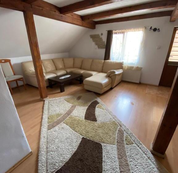 پانسیون Casa Floare De Colt