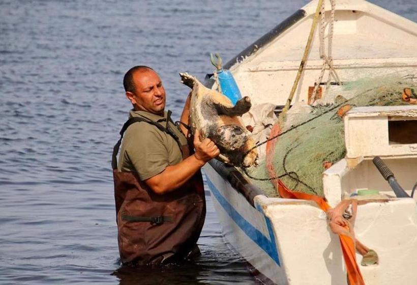 فندق صغير Juha S Guesthouse  Zarqa Bay