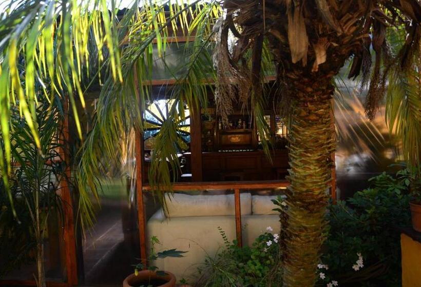 مبيت وإفطار El Bambu