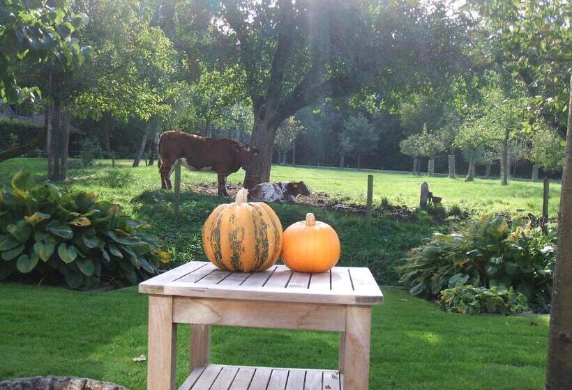 Bed And Breakfast Rodenberg