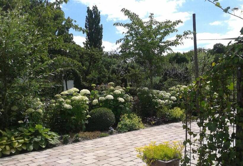 Bed And Breakfast Rodenberg