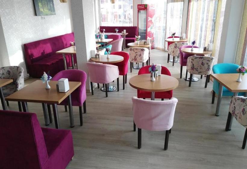 בית מלון כפרי Meltem