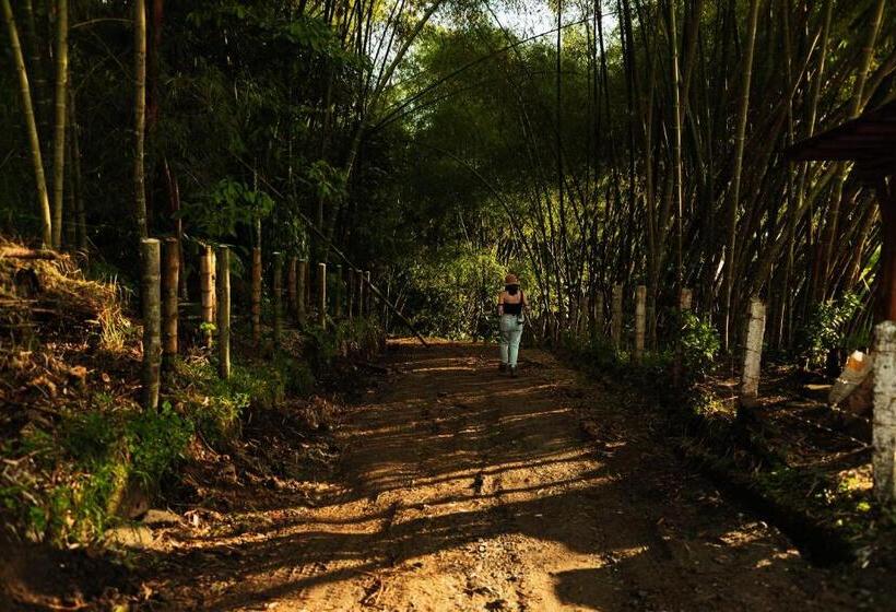 هتل Selina Quindio