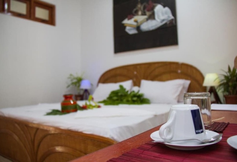 Pension Alvi Star Inn