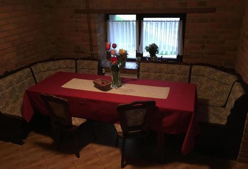 פנסיון Casa Skandik Ház