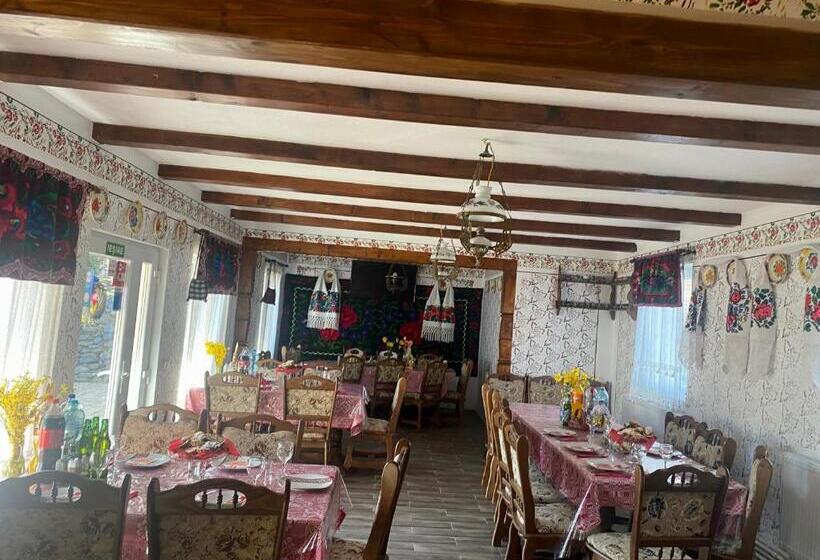 פנסיון Floare De Maramures 1