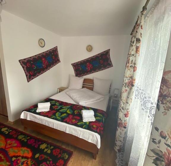 פנסיון Floare De Maramures 1