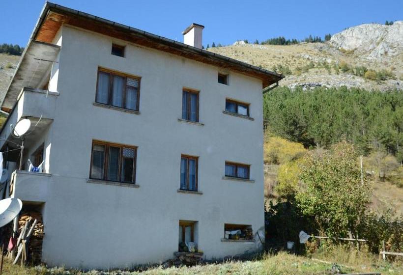 פנסיון Kristal Guest House