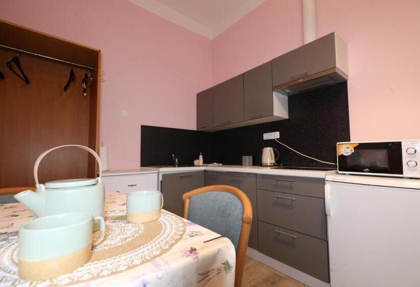 پانسیون Wellness Penzion Kroměříž   Zlobice